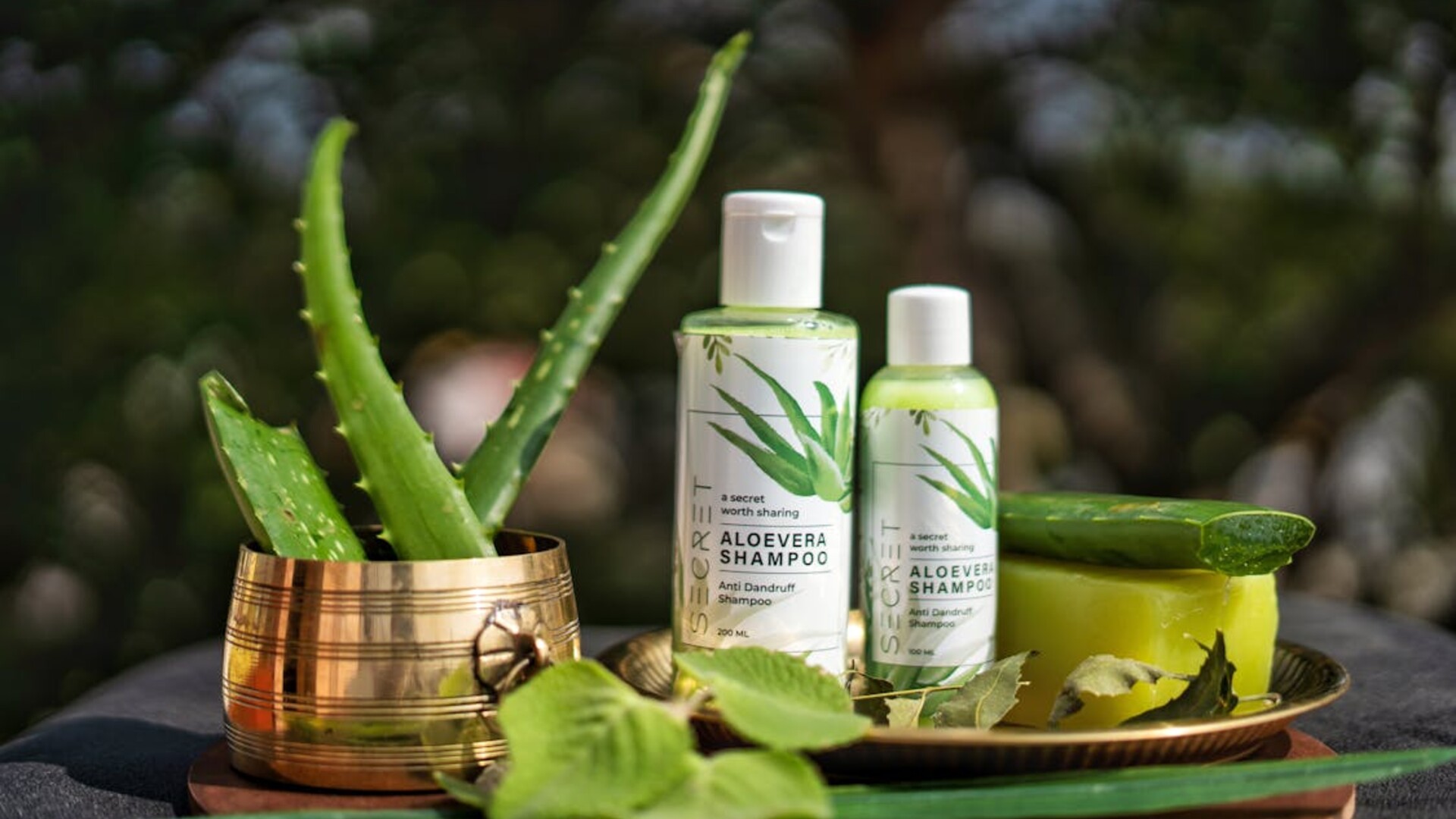 Essential Tips for Healthy Natural Hair